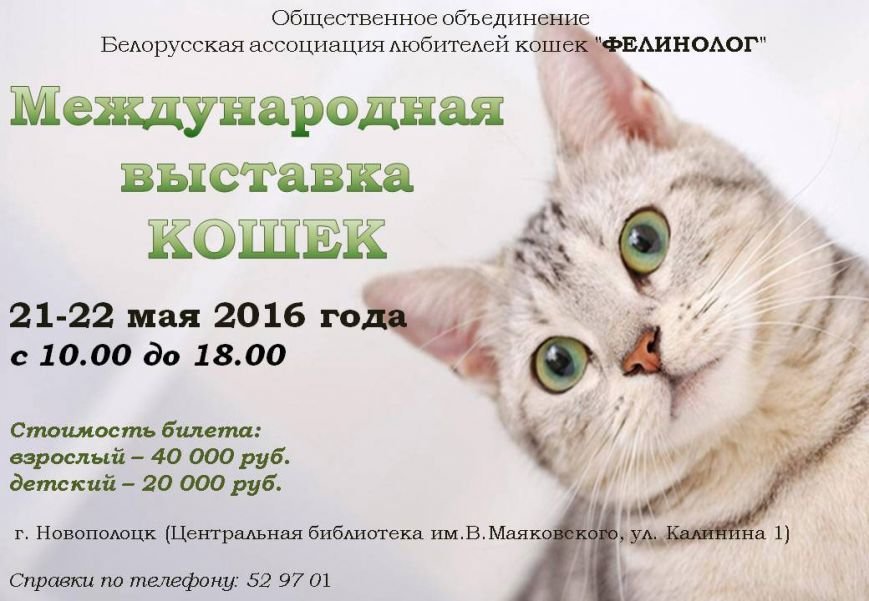 «Ночь музеев», вечеринка с конкурсантками «Мисс Новополоцк» и кошки в библиотеке: куда сходить в Новополоцке и Полоцке с 20 по 27 мая, фото-3