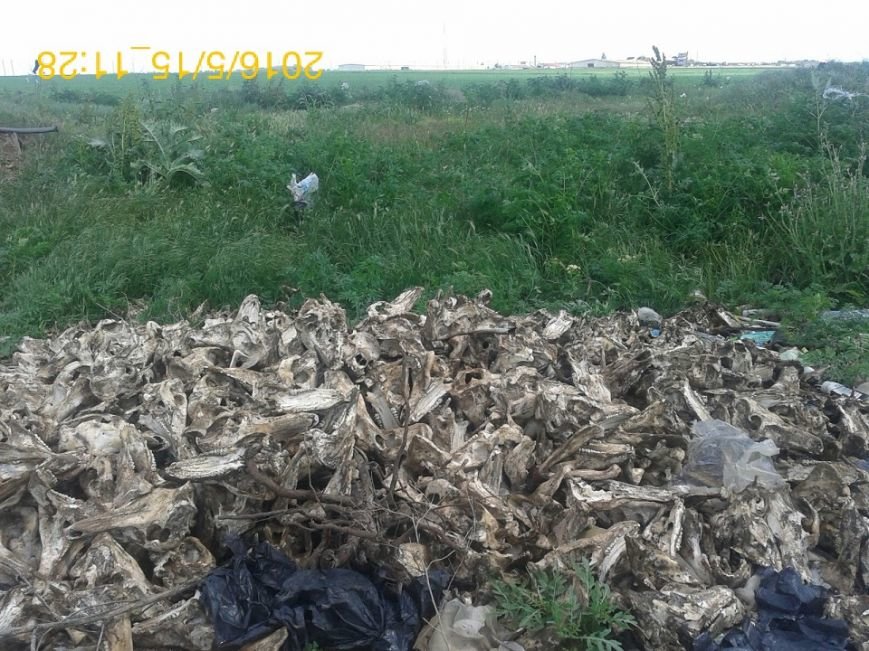 с. Раздолье (8)