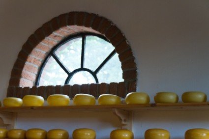 cheese (1) cheese (1)