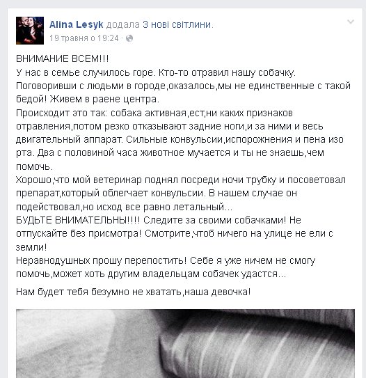 Новый рисунок Новый рисунок