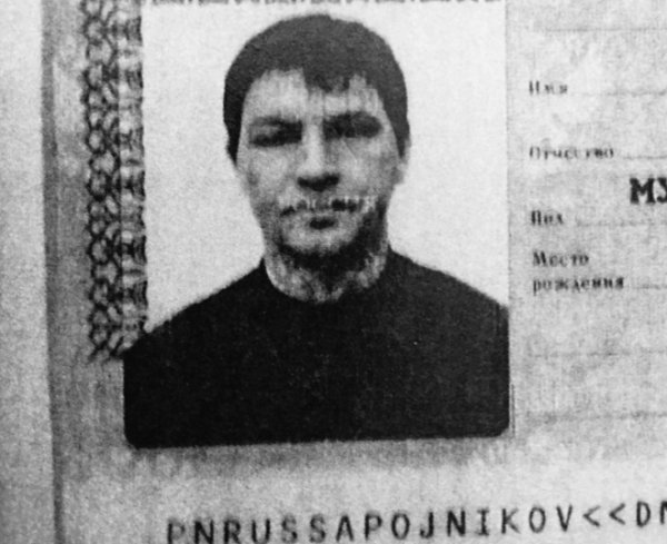 шолохов шолохов