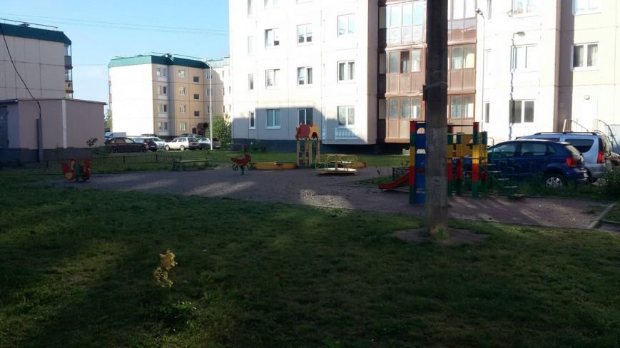 Детская площадка в Пушкине2 Детская площадка в Пушкине2