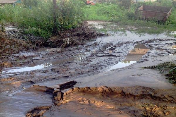 завантаження (1) завантаження (1)