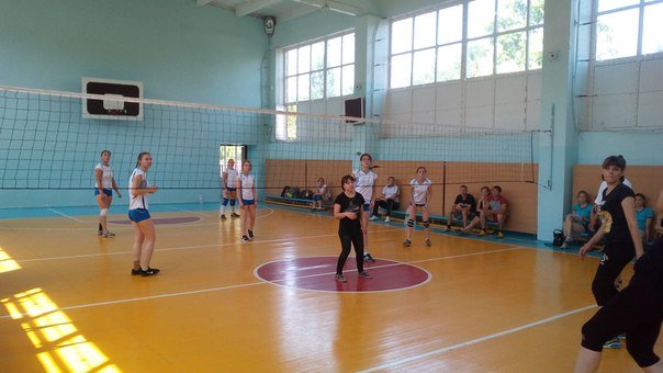 спорт волейбол спорт волейбол