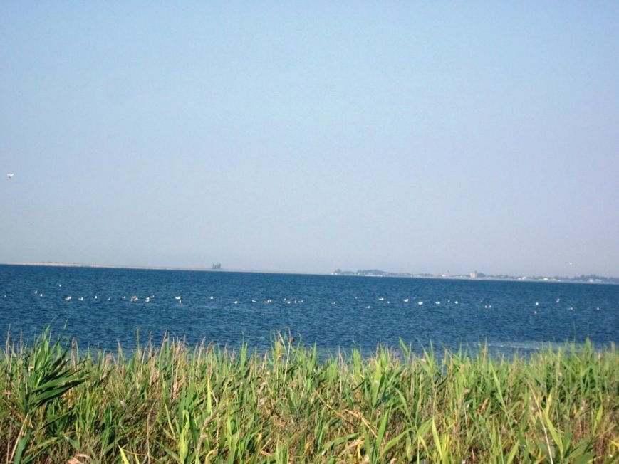 У Херсонській області є місце, про яке ви не знали, фото-3 У Херсонській області є місце, про яке ви не знали, фото-3