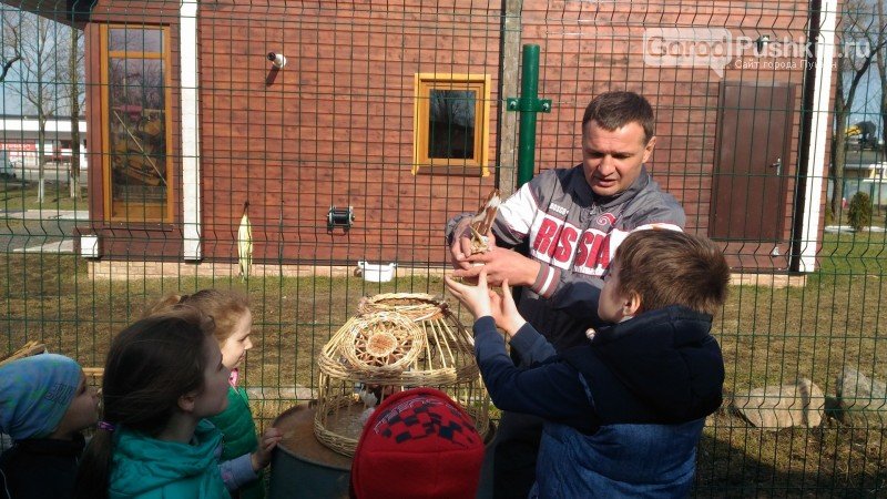 Экскурсия в голубятню3 Экскурсия в голубятню3