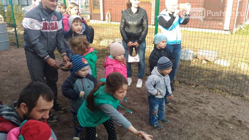 Экскурсия в голубятню4 Экскурсия в голубятню4