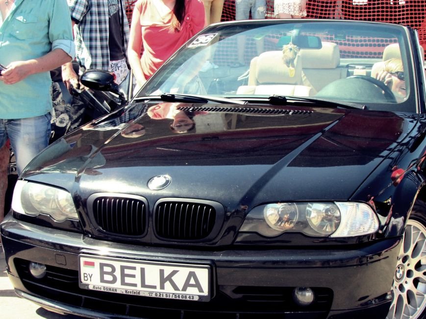 Девушки, «Москвичи», дрифт на BMW. В Полоцке прошла выставка ретро и тюнингованных авто (+ видео), фото-9