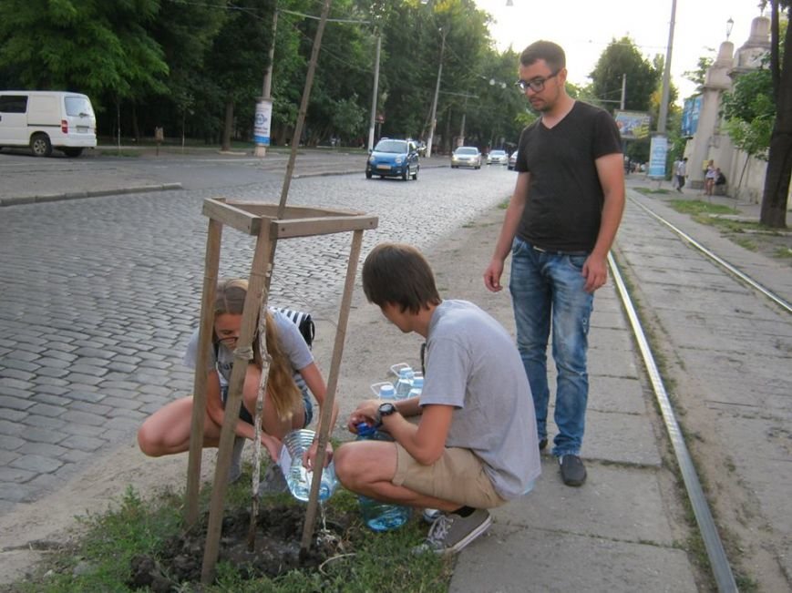деревья6 деревья6