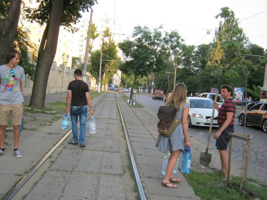 деревья4 деревья4