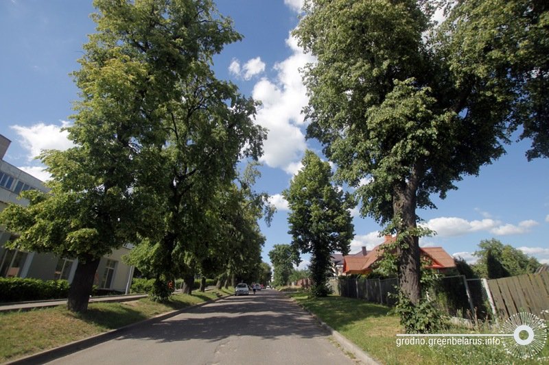 aleya_yakaya_vyadze_da_palacu_vul._cimirazeva aleya_yakaya_vyadze_da_palacu_vul._cimirazeva