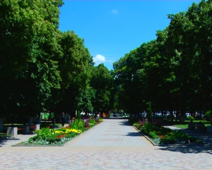 Опросс 1 Опросс 1