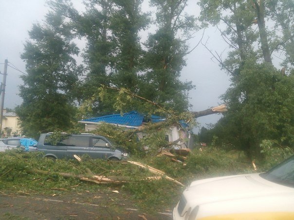 Смерч снова прошелся по Витебской области: разбитые машины, поваленные деревья, обесточенные деревни, фото-2