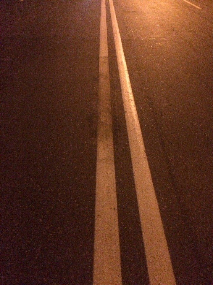 13709857_1734363110179900_7953135357810576451_n