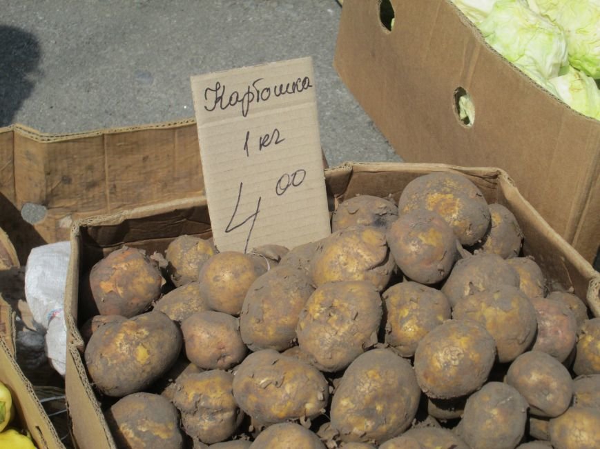 Изображение 009 Изображение 009