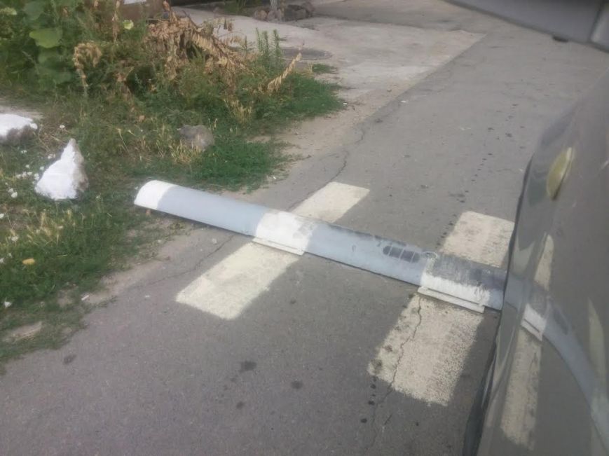 лолодол лолодол