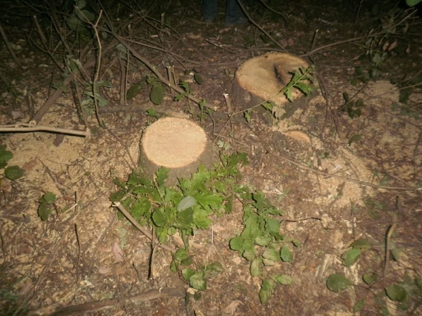 viууууууber image viууууууber image