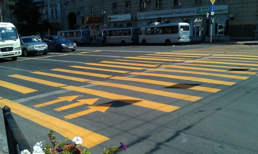 зебра зебра