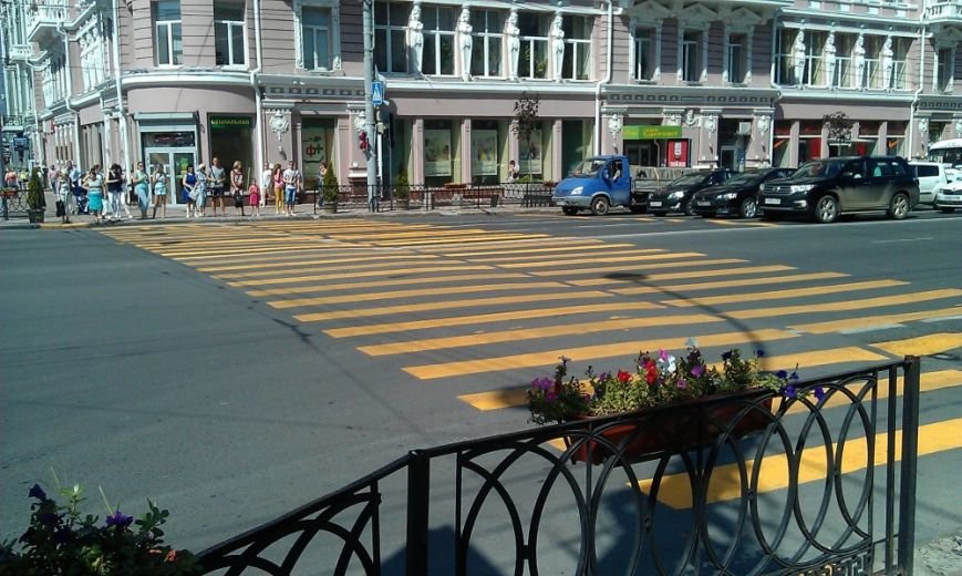 зебра2 зебра2