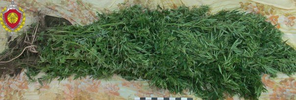  ������ ���������� ������ ������ ����� ���� ����������� ������������ 