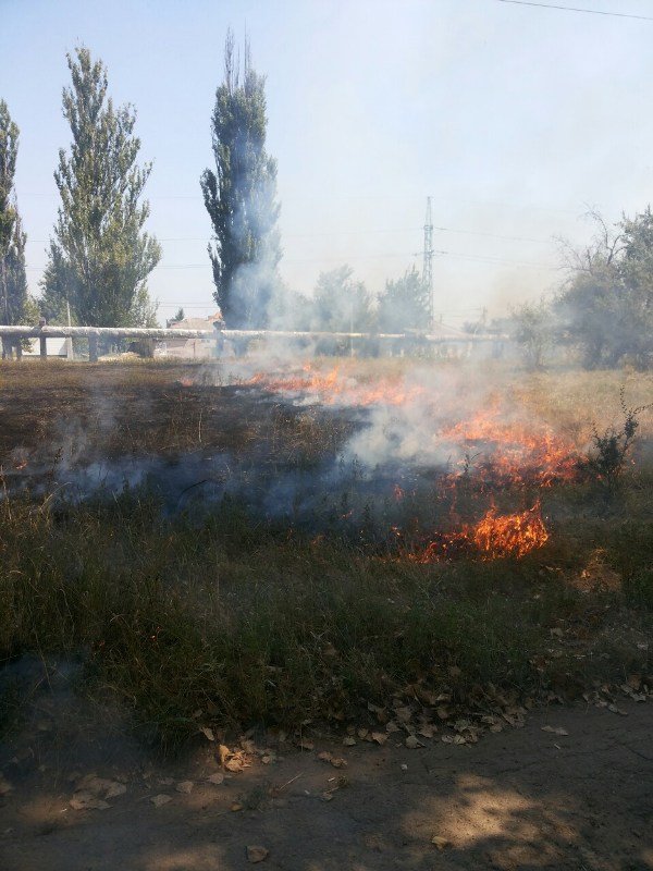 Без названия (1) Без названия (1)