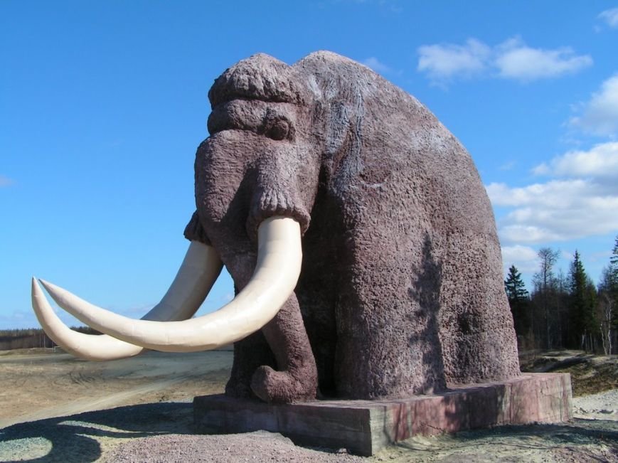 мамонт мамонт