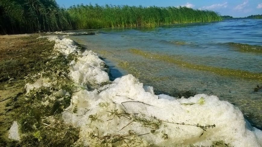 Піна-1 Піна-1
