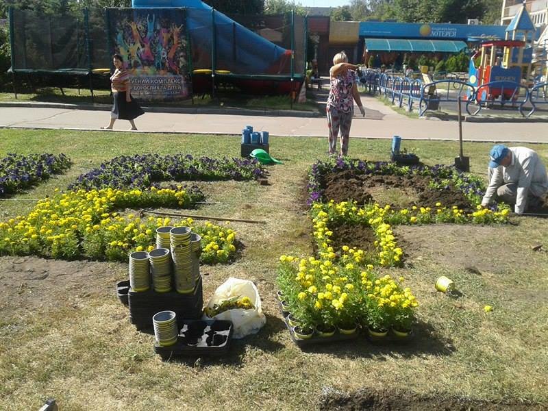 Квітки-1 Квітки-1