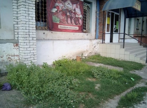 ава ава