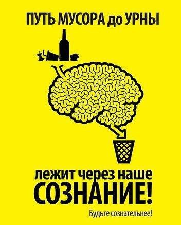 чистый1 чистый1