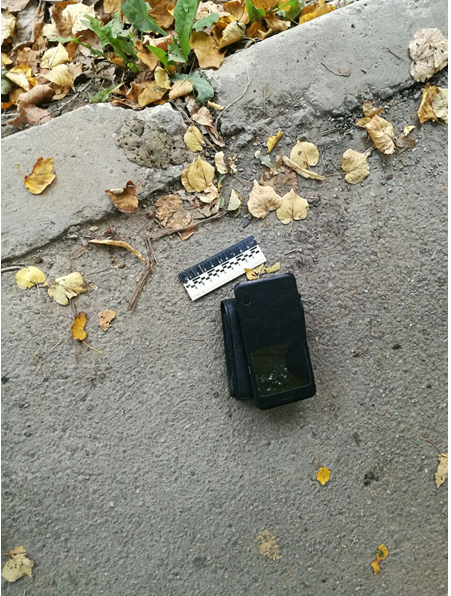 зарик2 зарик2