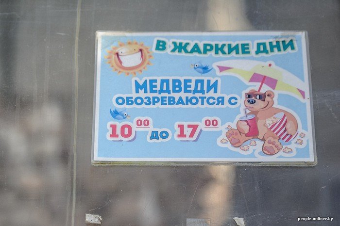 "Любить животных больше, чем людей - это все-таки странно"..., фото-4 "Любить животных больше, чем людей - это все-таки странно": как житель Гродно оставил высокий пост в милиции ради работы в зоопарке, фото-4