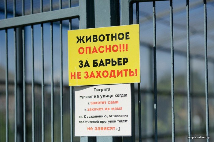 "Любить животных больше, чем людей - это все-таки странно"..., фото-5 "Любить животных больше, чем людей - это все-таки странно": как житель Гродно оставил высокий пост в милиции ради работы в зоопарке, фото-5