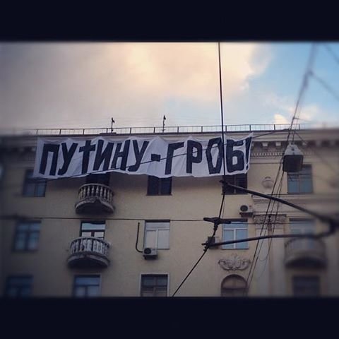 Курйози тижня: Букет для Путіна, експерт Азаров, мрія амери..., фото-1 Курйози тижня: Букет для Путіна, експерт Азаров, мрія американки і головний кіт Стамбула, фото-1