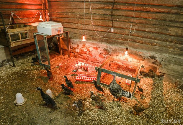"Они нас — в СОП, мы — в Верховный суд". Семья с ребенком-..., фото-6 "Они нас — в СОП, мы — в Верховный суд". Семья с ребенком-инвалидом из деревни под Сморгонью годами судится с опекой, фото-6