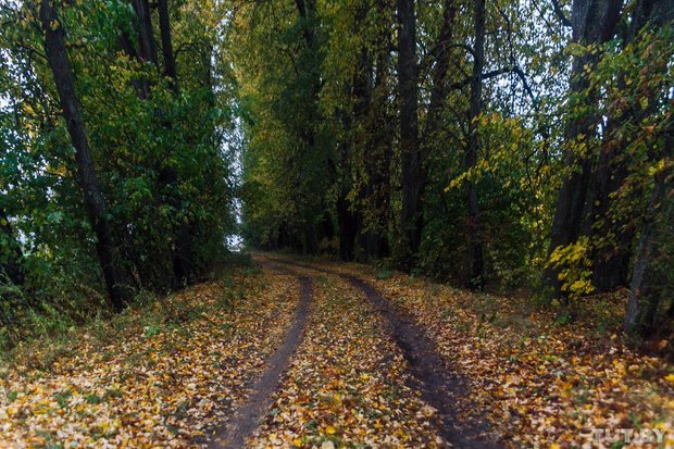 Разрушающиеся Кашубинцы. Как женщина из Гродно восстанавли..., фото-16 Разрушающиеся Кашубинцы. Как женщина из Гродно восстанавливает уникальную усадьбу, фото-16