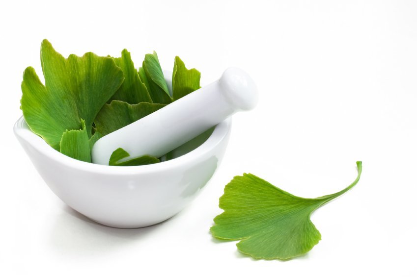 ginkgobiloba03 (1) ginkgobiloba03 (1)