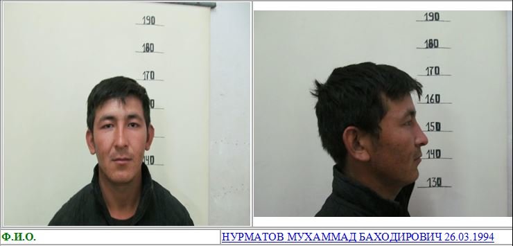 Snimok-720x400,720x400