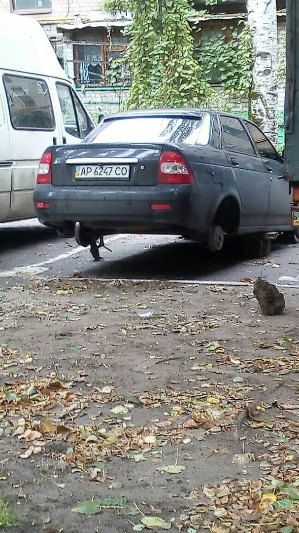 маш маш