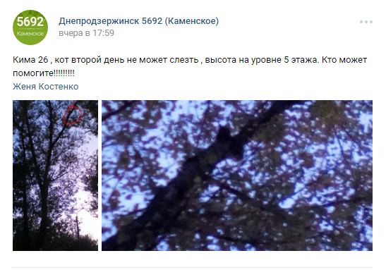 Безымянный Безымянный