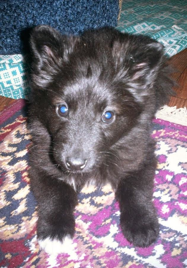 лада2 лада2