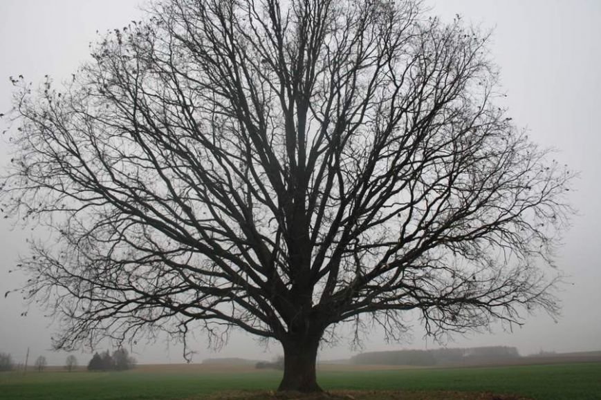 izobrazhenie_022