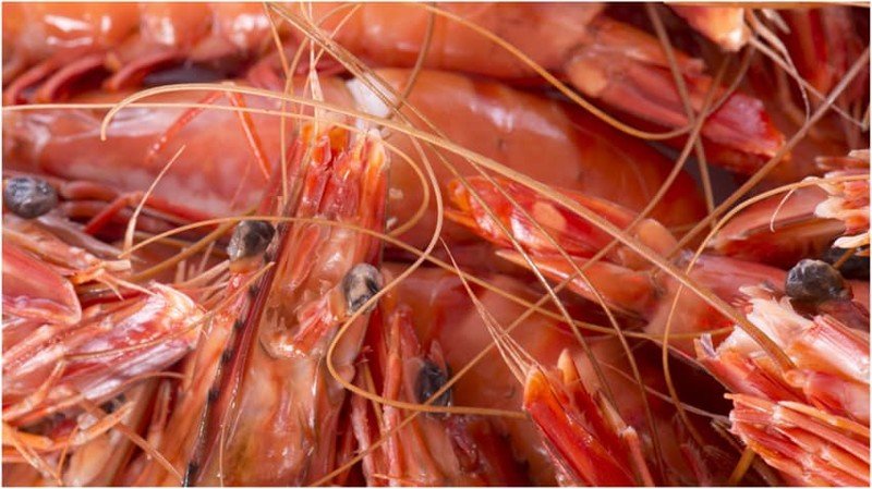 Экзотическая кухня, фото-3 Экзотическая кухня, фото-3