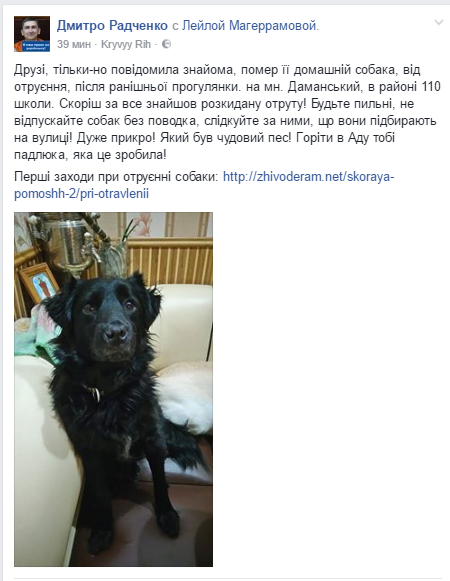 травля собак травля собак