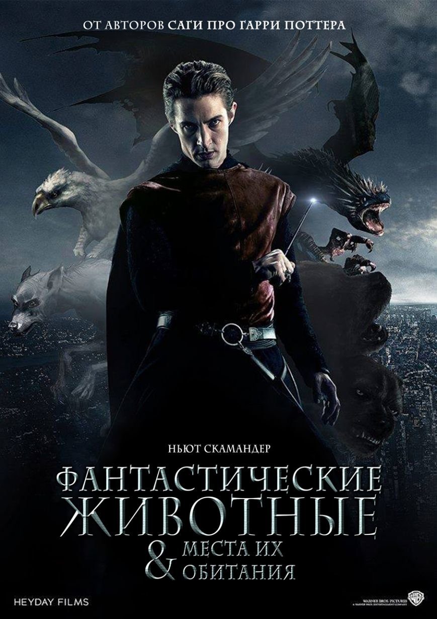 kinopoisk.ru-Fantastic-Beasts-and-Where-to-Find-Them-2604724 kinopoisk.ru-Fantastic-Beasts-and-Where-to-Find-Them-2604724