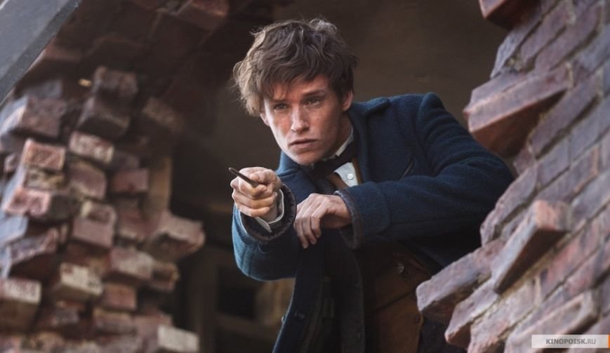 kinopoisk.ru-Fantastic-Beasts-and-Where-to-Find-Them-2797744 kinopoisk.ru-Fantastic-Beasts-and-Where-to-Find-Them-2797744
