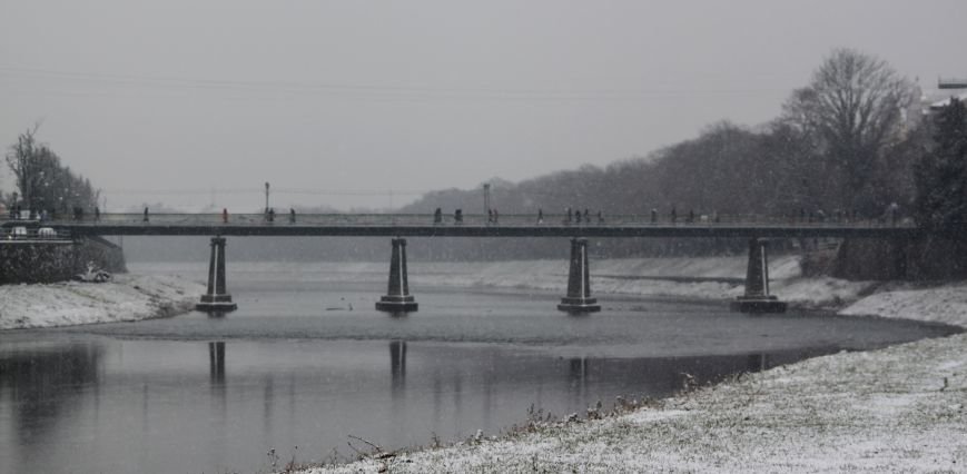 В Ужгород йде сильний сніг, фото-14 В Ужгород йде сильний сніг, фото-14