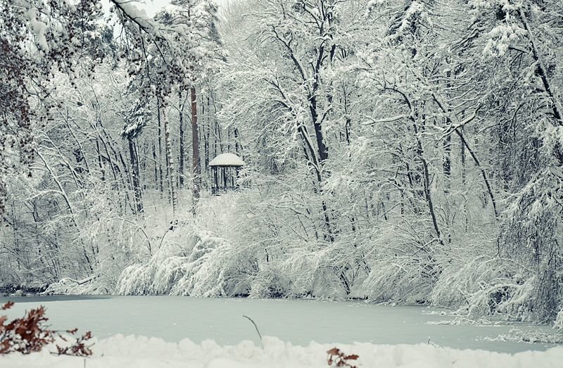 800px-Зимовий_став,_дендропарк_Олександрія,_Біла_Церква 800px-Зимовий_став,_дендропарк_Олександрія,_Біла_Церква
