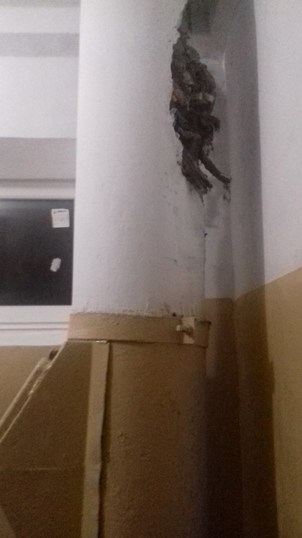 п п