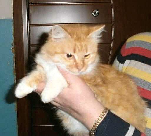 unnamed (5) unnamed (5)
